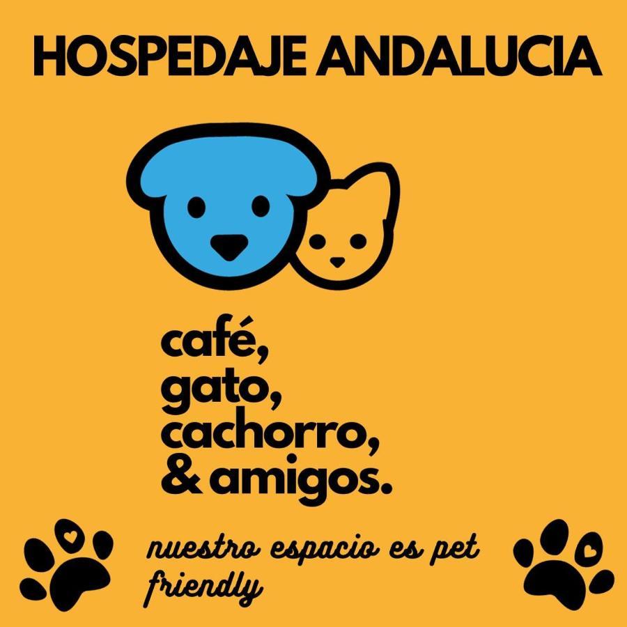 Casa Andalucia Ostello Florianópolis Esterno foto